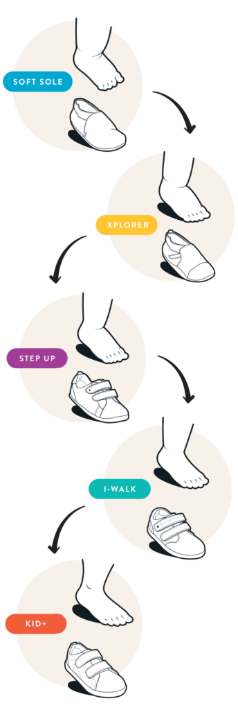 Fasi di crescita mobile